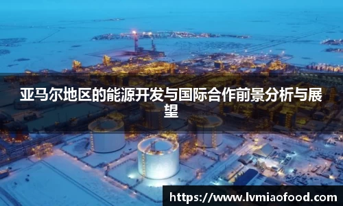 亚马尔地区的能源开发与国际合作前景分析与展望