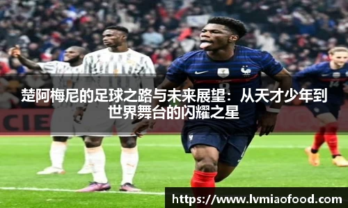楚阿梅尼的足球之路与未来展望：从天才少年到世界舞台的闪耀之星